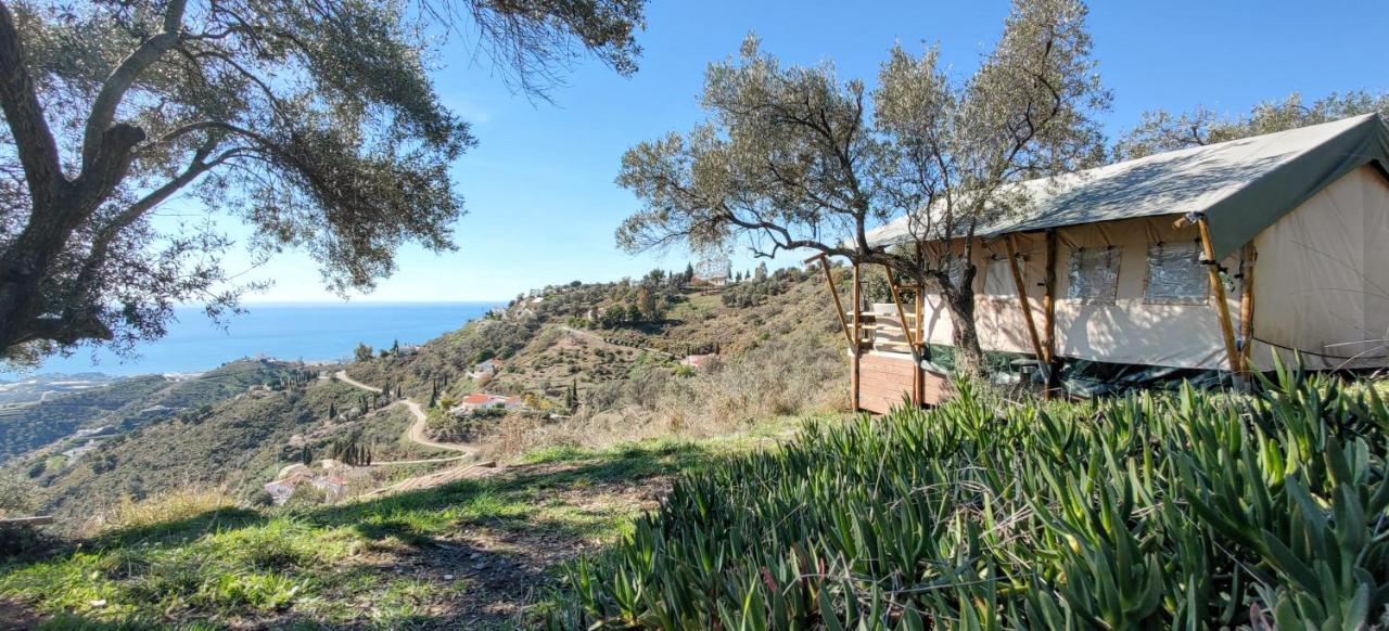 Campo Agave Luxury Tents Sayalonga Esterno foto
