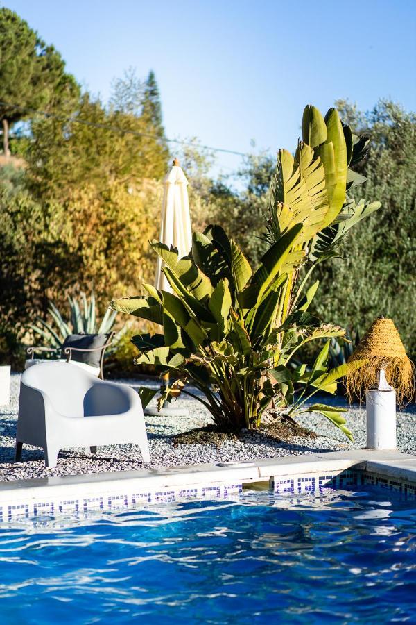 Campo Agave Luxury Tents Sayalonga Esterno foto
